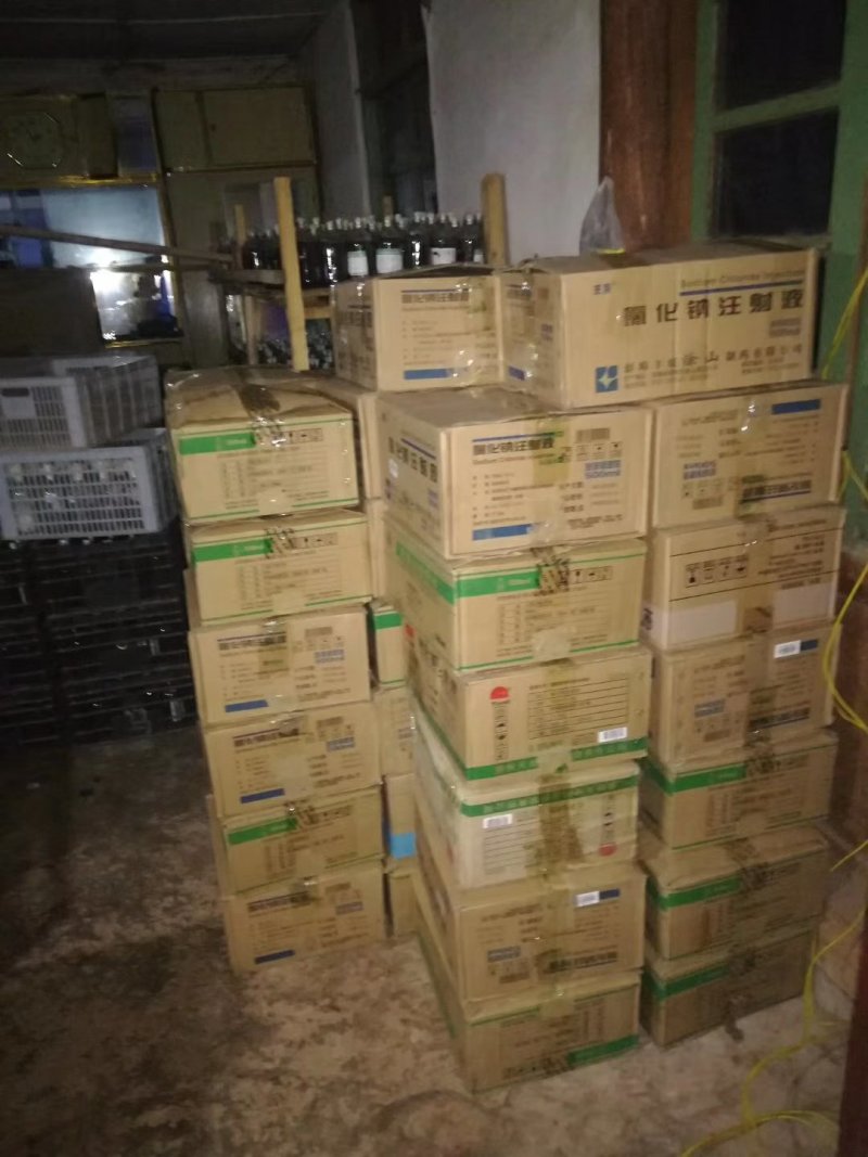 金耳菌种新鲜金耳长期供应