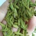 代销各种龙井茶，厂家直接发货，保证出厂价销售，诚信为本。