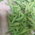 代销各种龙井茶，厂家直接发货，保证出厂价销售，诚信为本。