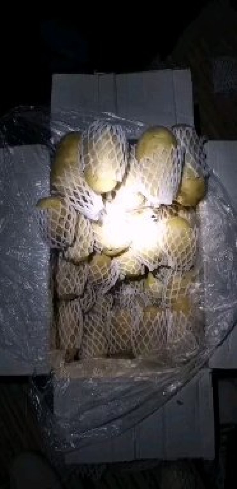 荷兰十五土豆，箱装套网，装袋，各种规格，