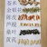 预防新冠病毒中药茶包