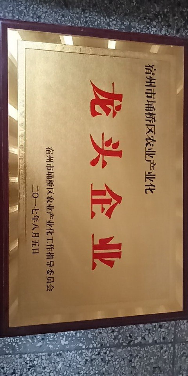艾苗，艾根，食用艾