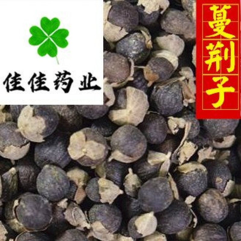 蔓荆子选货产地直销佳佳药业供应各种中药材