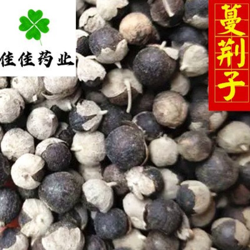 蔓荆子选货产地直销佳佳药业供应各种中药材