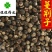 蔓荆子选货产地直销佳佳药业供应各种中药材