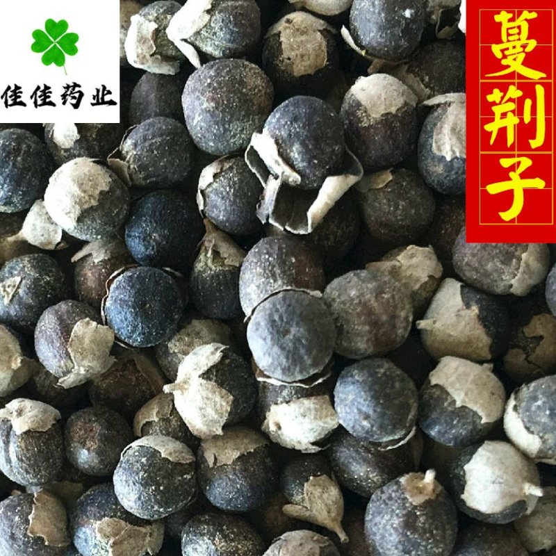 蔓荆子选货产地直销佳佳药业供应各种中药材
