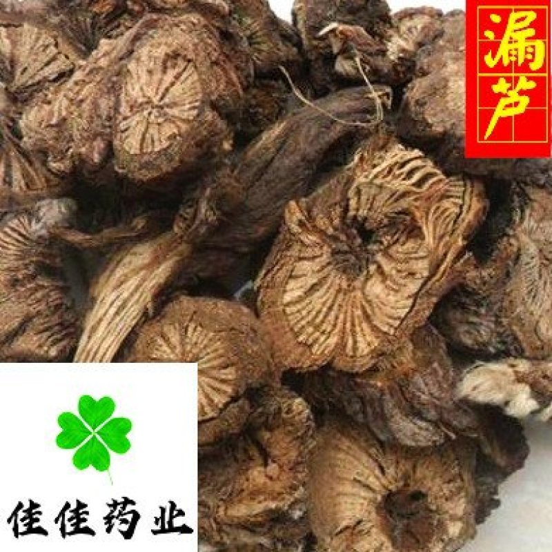 漏芦统货漏芦过筛货供应各种中药材