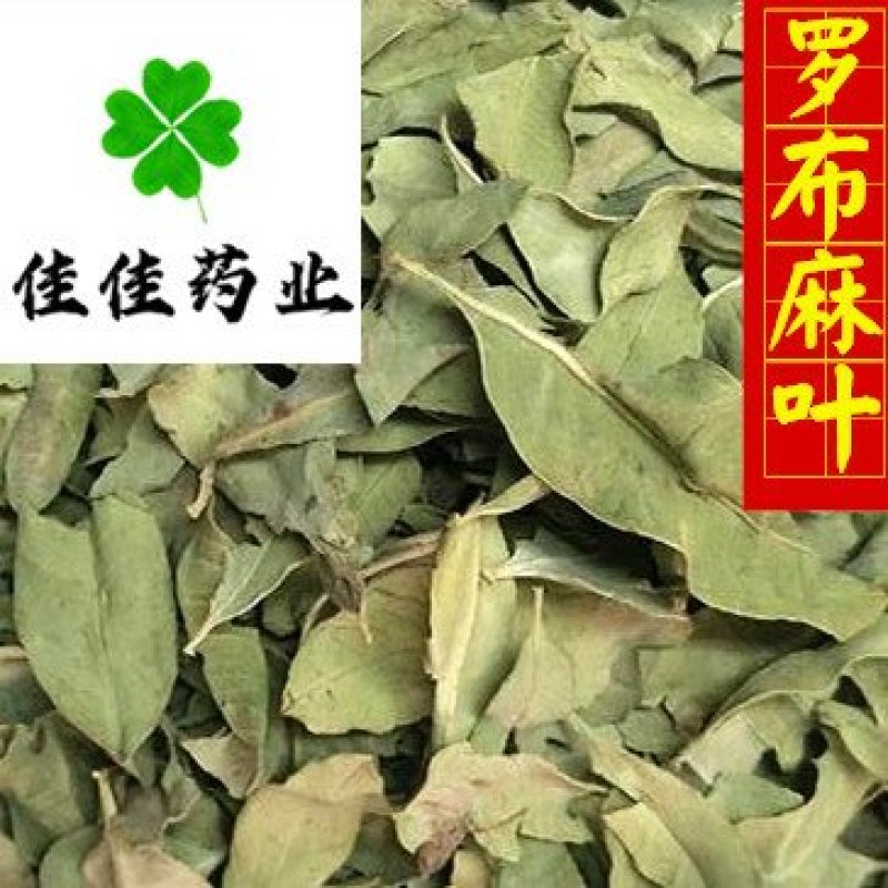 罗布麻罗布麻叶新货颜色好货干供应各种中药材