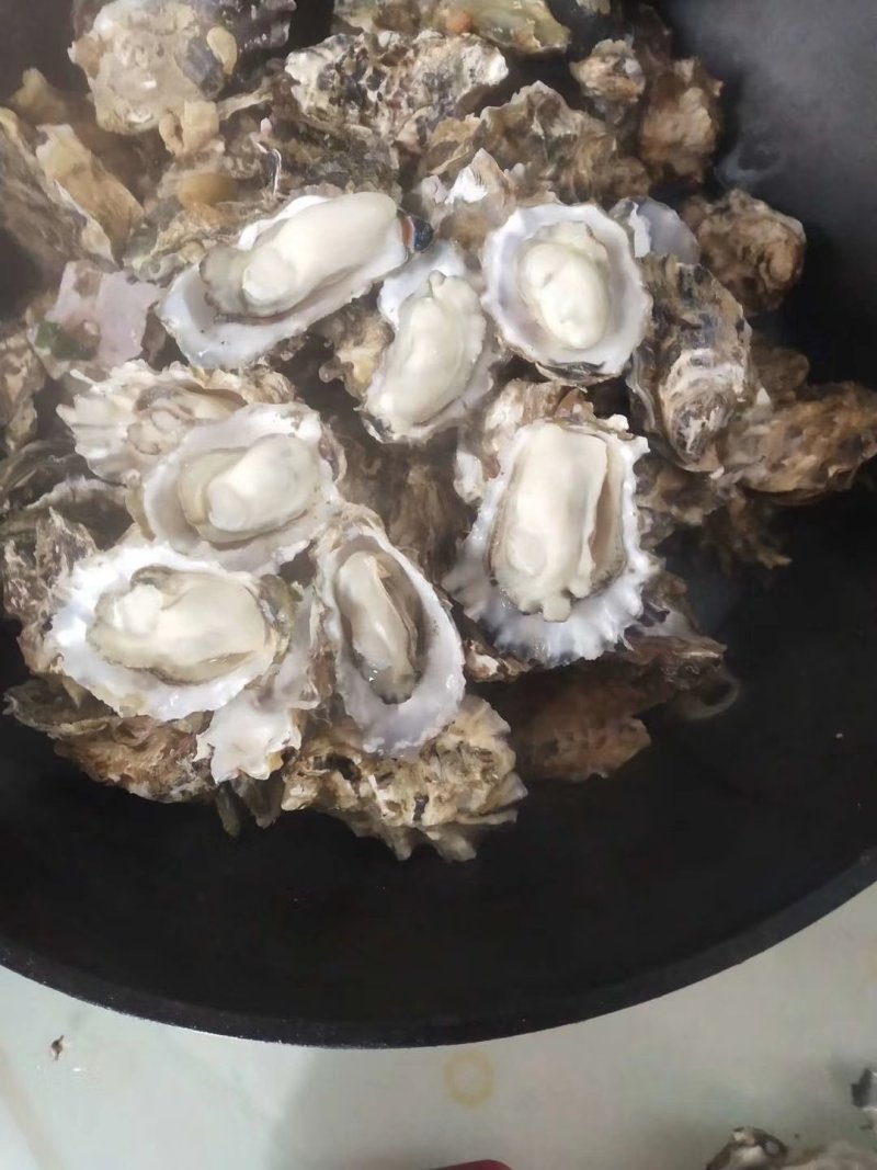 生蚝