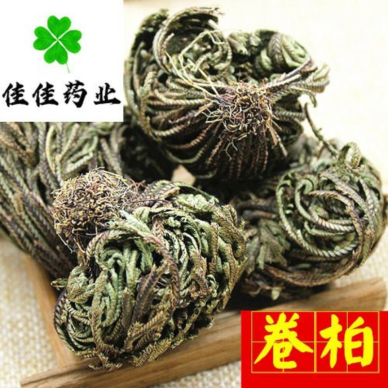 卷柏九死还魂草不死草统货供应各种中药材