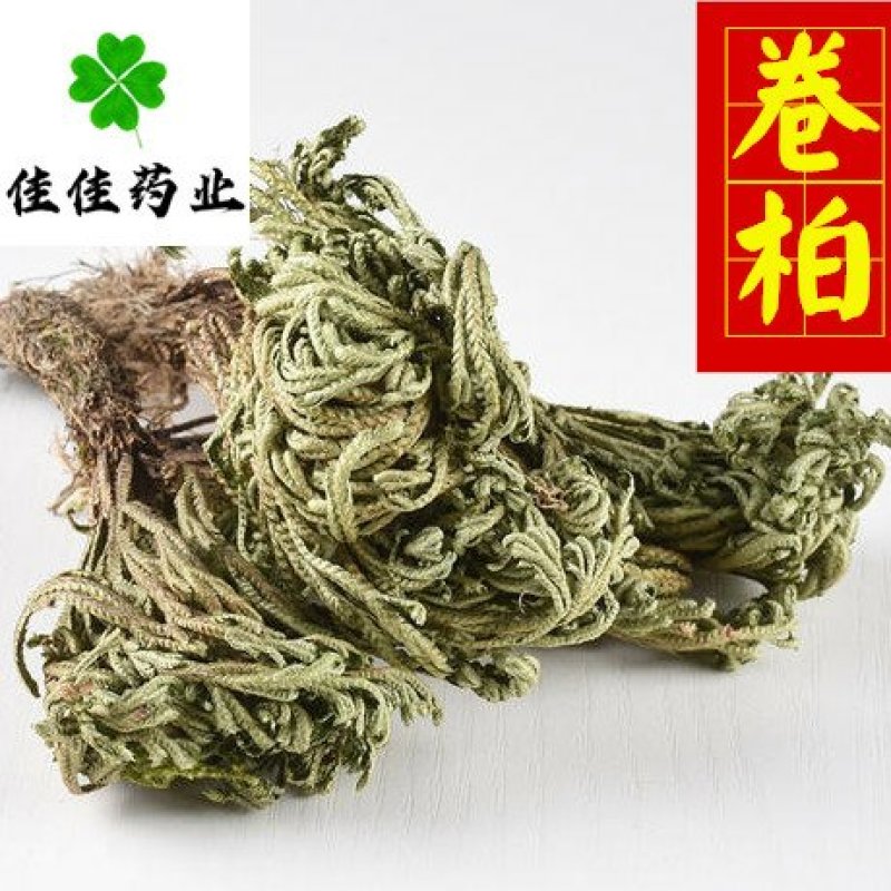 卷柏九死还魂草不死草统货供应各种中药材