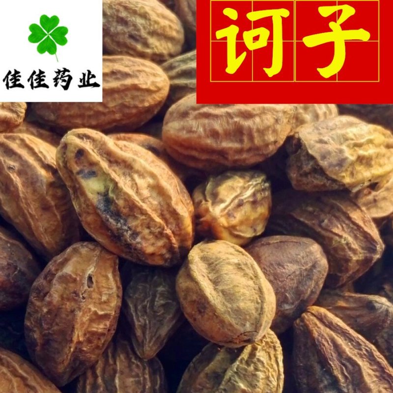 诃子选货诃子肉统货供应大货货干实物图