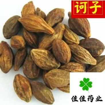 诃子选货诃子肉统货供应大货货干实物图