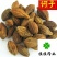 诃子选货诃子肉统货供应大货货干实物图