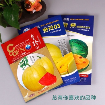 花皮黄瓤西瓜种子礼品瓜单瓜种5斤玉燕早熟抗病强易结果皮