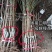 【火爆】中华桃王树苗5月中旬成熟大果800克甜掉牙