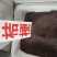 桔梗种子