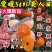 爱媛38号柑桔苗改良新品皮薄甜度高脱毒育苗包邮