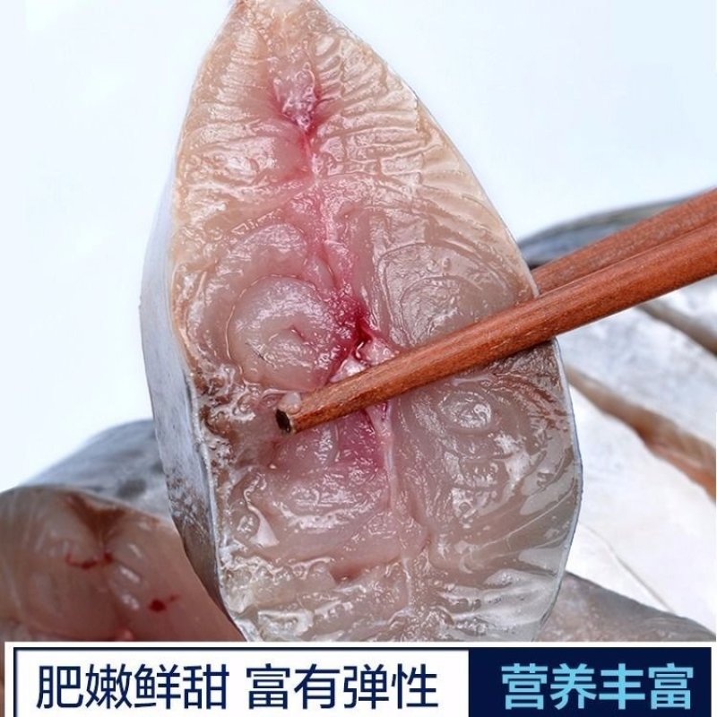 鲅鱼马鲛鱼新鲜鲅鱼马鲛鱼码头发货