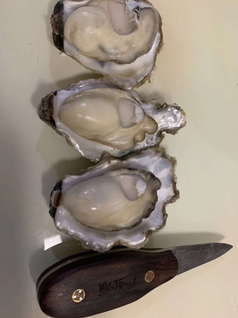 生蚝