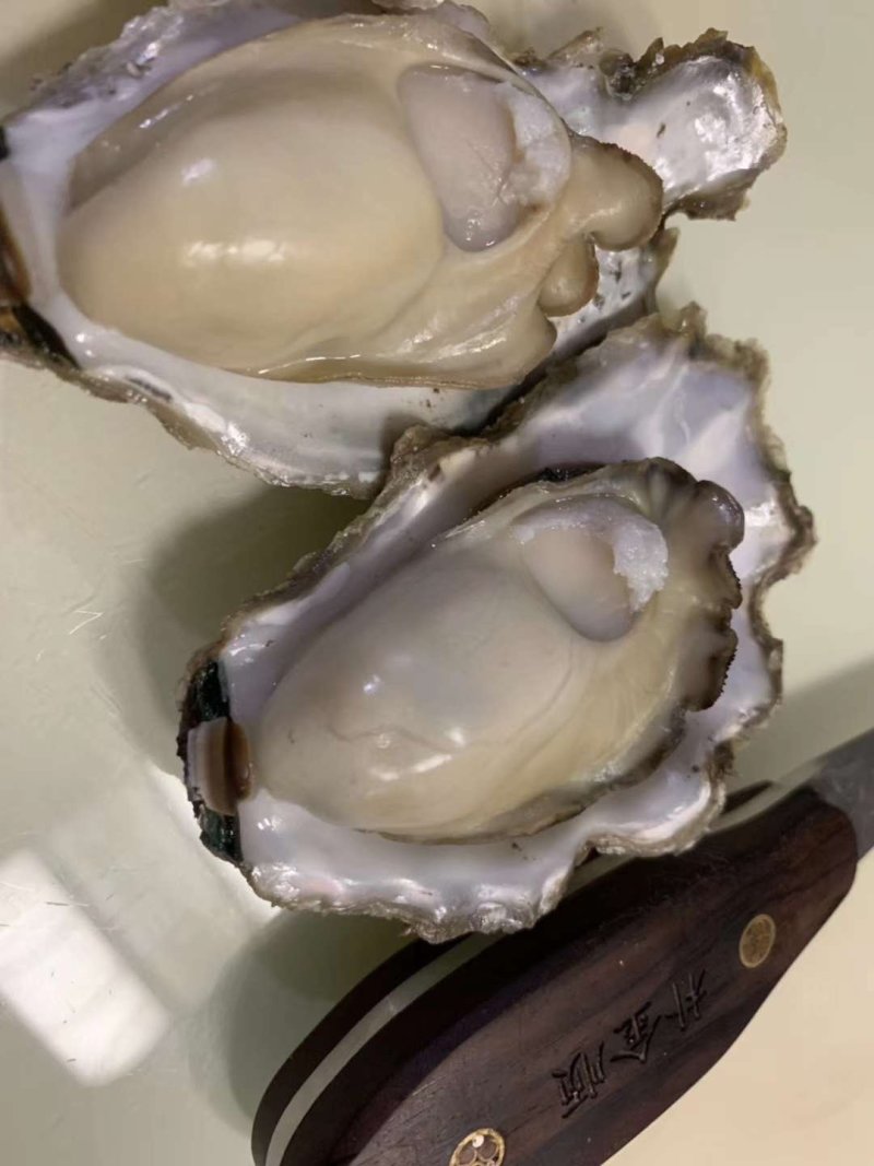 生蚝
