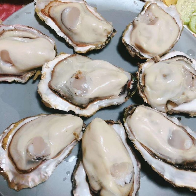 生蚝
