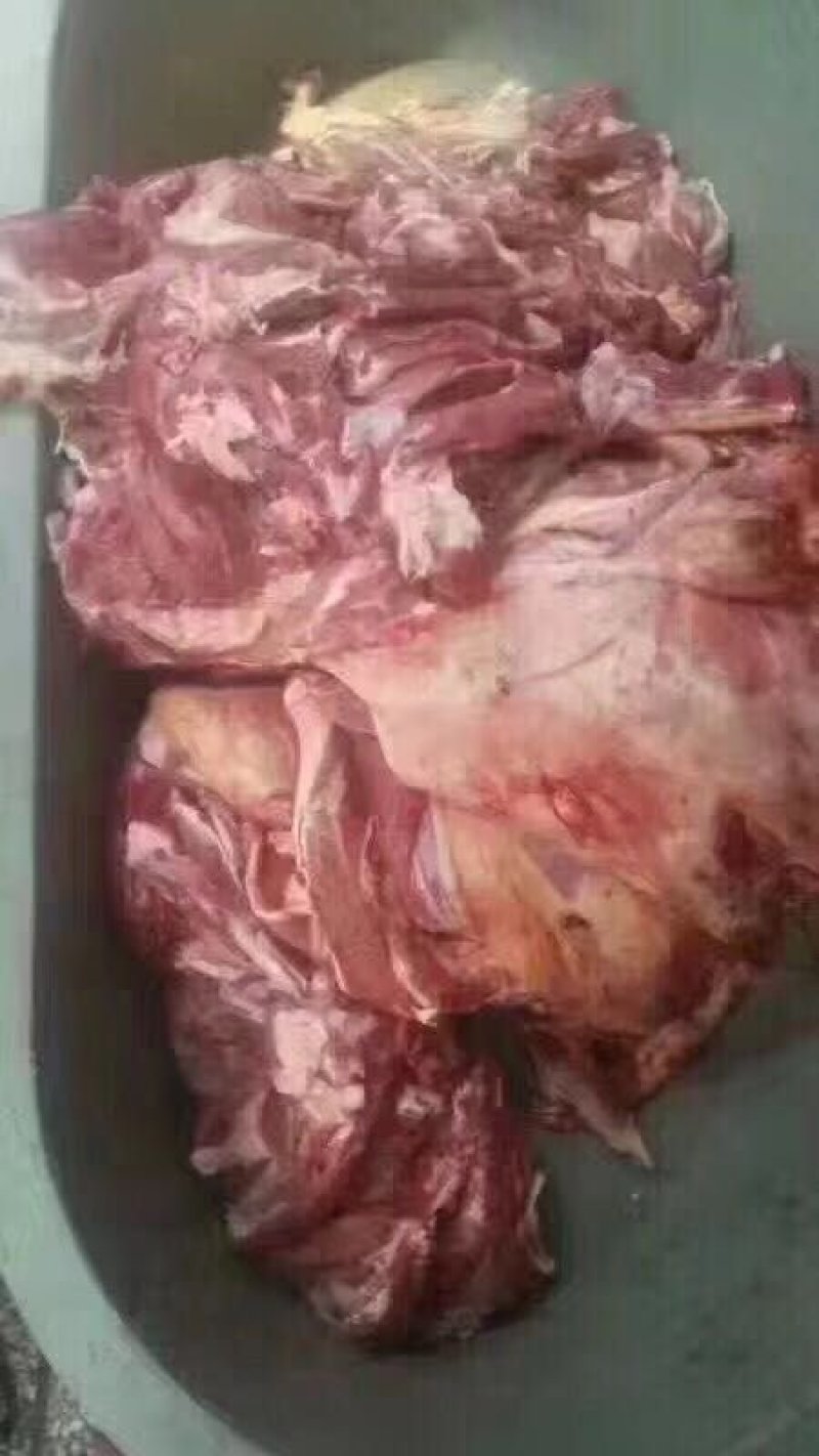 羊肉，羊后腿肉，带皮羊肉有感兴趣的老板欢迎光临！