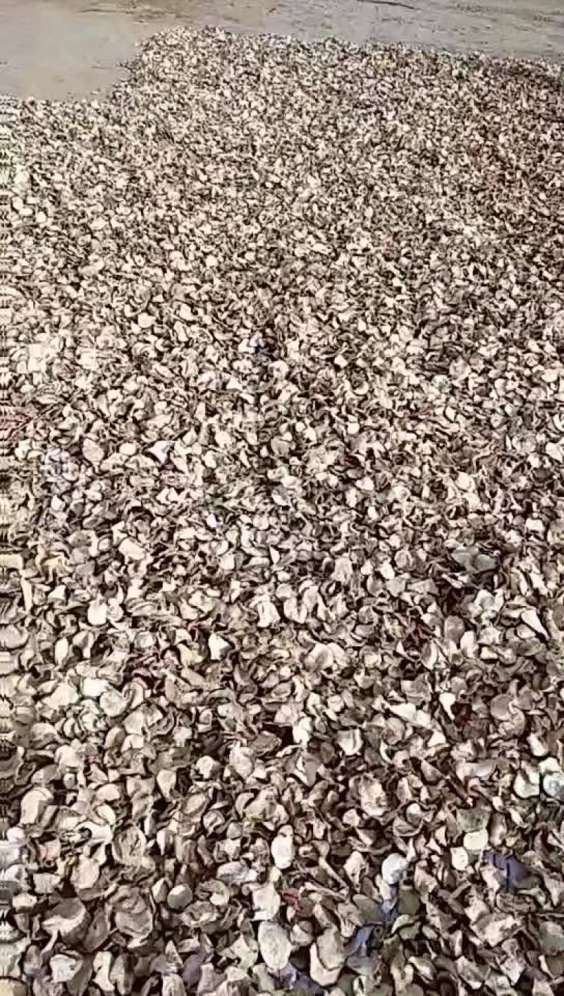 大量供应萝卜干