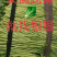 安徽精品芦蒿大量到货装车中