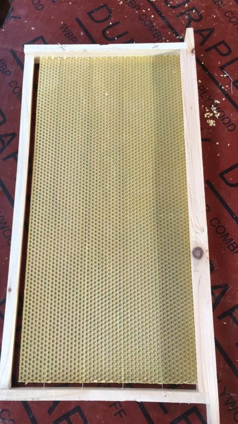 成品巢框中蜂建巢快质量好每件十框批发零售定做各种尺寸