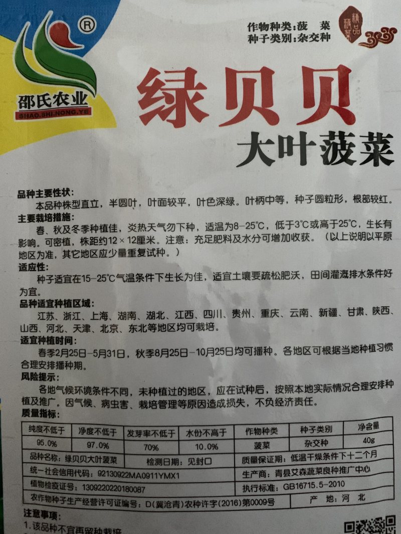 菠菜种子大叶菠菜种子四季蔬菜秋冬阳台耐寒种子