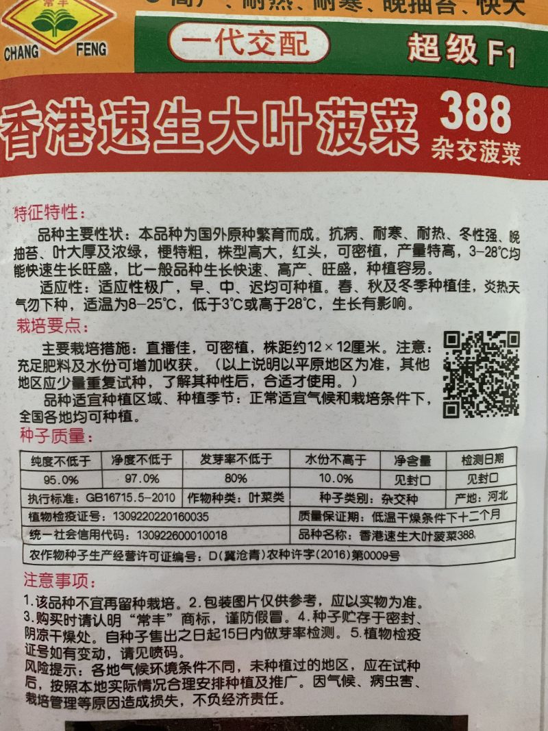 菠菜种子大叶菠菜种子四季蔬菜秋冬阳台耐寒种子