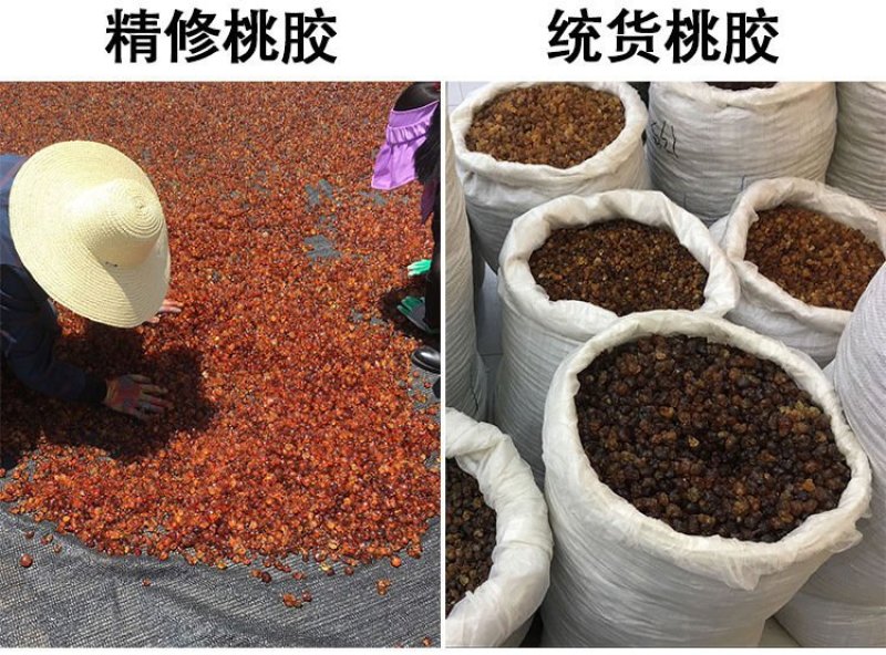 桃胶500g食用