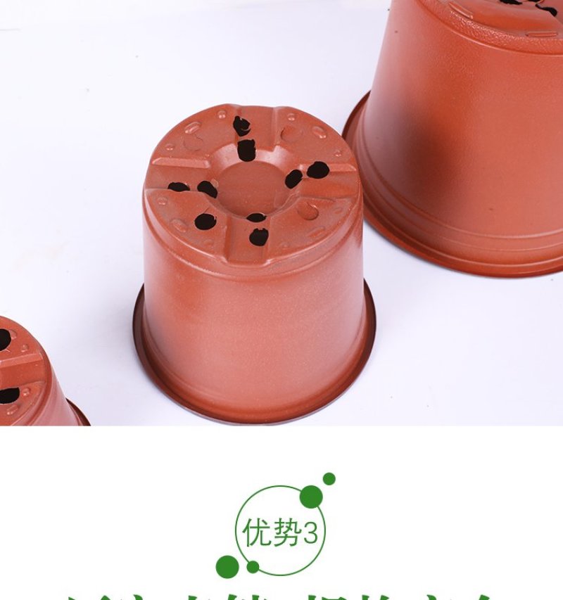 双色盆一次性育苗盆营养钵简易花盆特大号塑料育苗双色花盆种