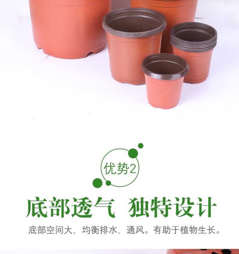 双色盆一次性育苗盆营养钵简易花盆特大号塑料育苗双色花盆种