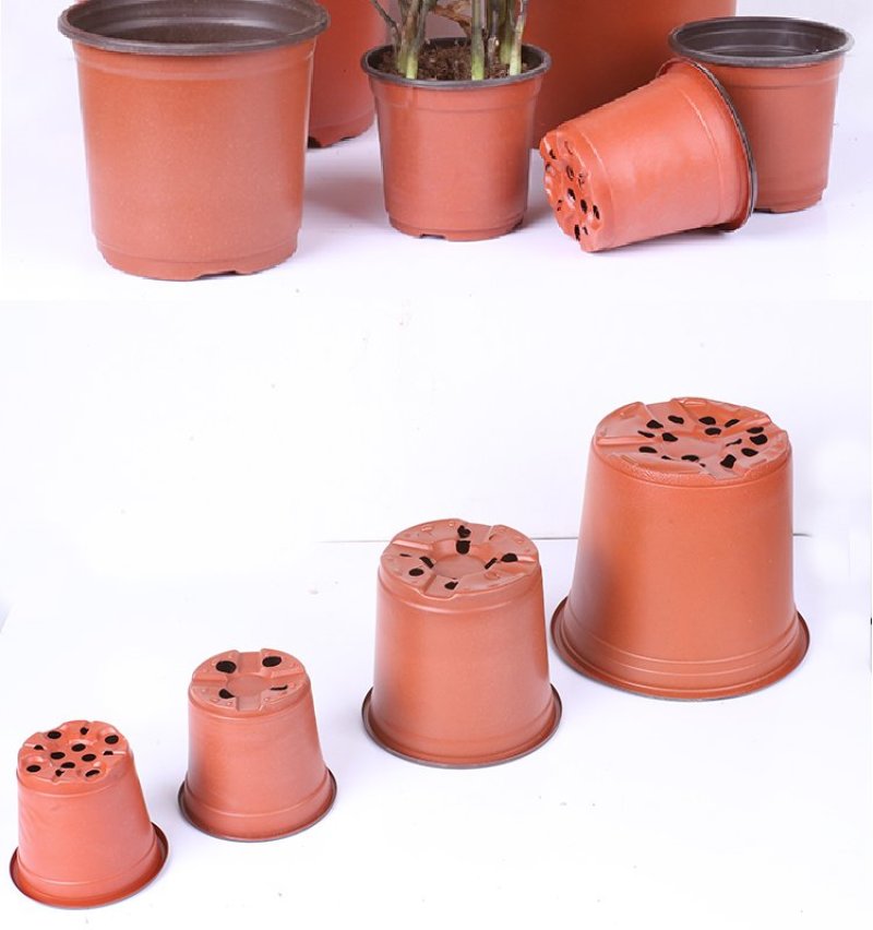 双色盆一次性育苗盆营养钵简易花盆特大号塑料育苗双色花盆种