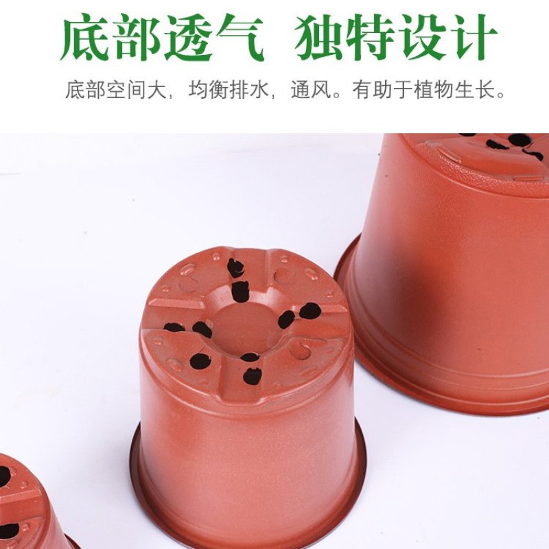 双色盆一次性育苗盆营养钵简易花盆特大号塑料育苗双色花盆种