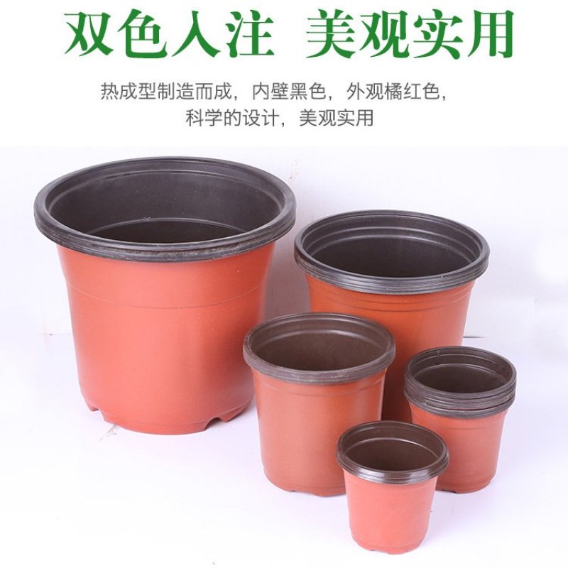 双色盆一次性育苗盆营养钵简易花盆特大号塑料育苗双色花盆种