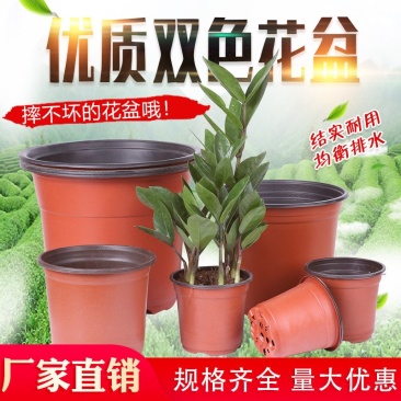 双色盆一次性育苗盆营养钵简易花盆特大号塑料育苗双色花盆种