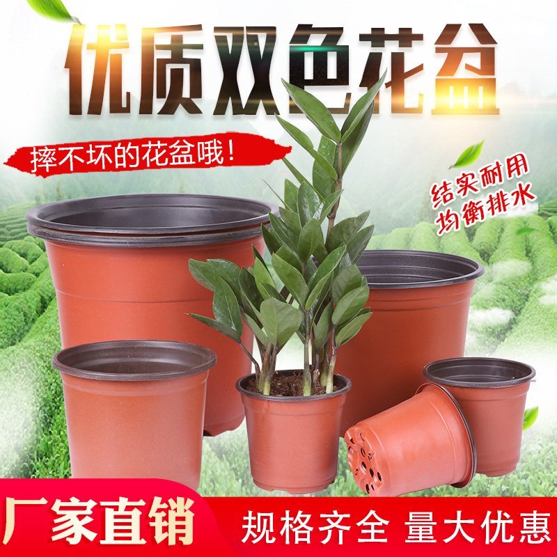 双色盆一次性育苗盆营养钵简易花盆特大号塑料育苗双色花盆种