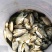 鲫鱼苗鱼苗每斤10--40尾