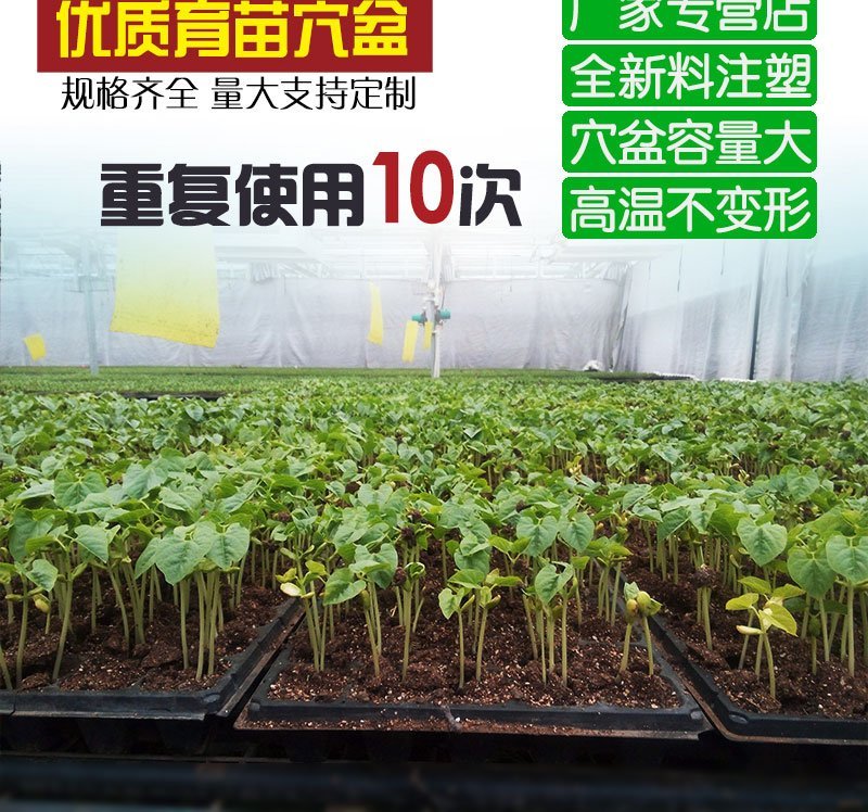 育苗盘穴盘育苗盒苗木多肉育苗箱平盘林木穴盘穴盆芽菜盘育