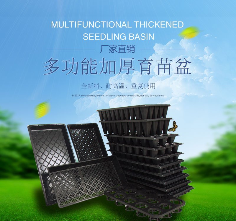 育苗盘穴盘育苗盒苗木多肉育苗箱平盘林木穴盘穴盆芽菜盘育