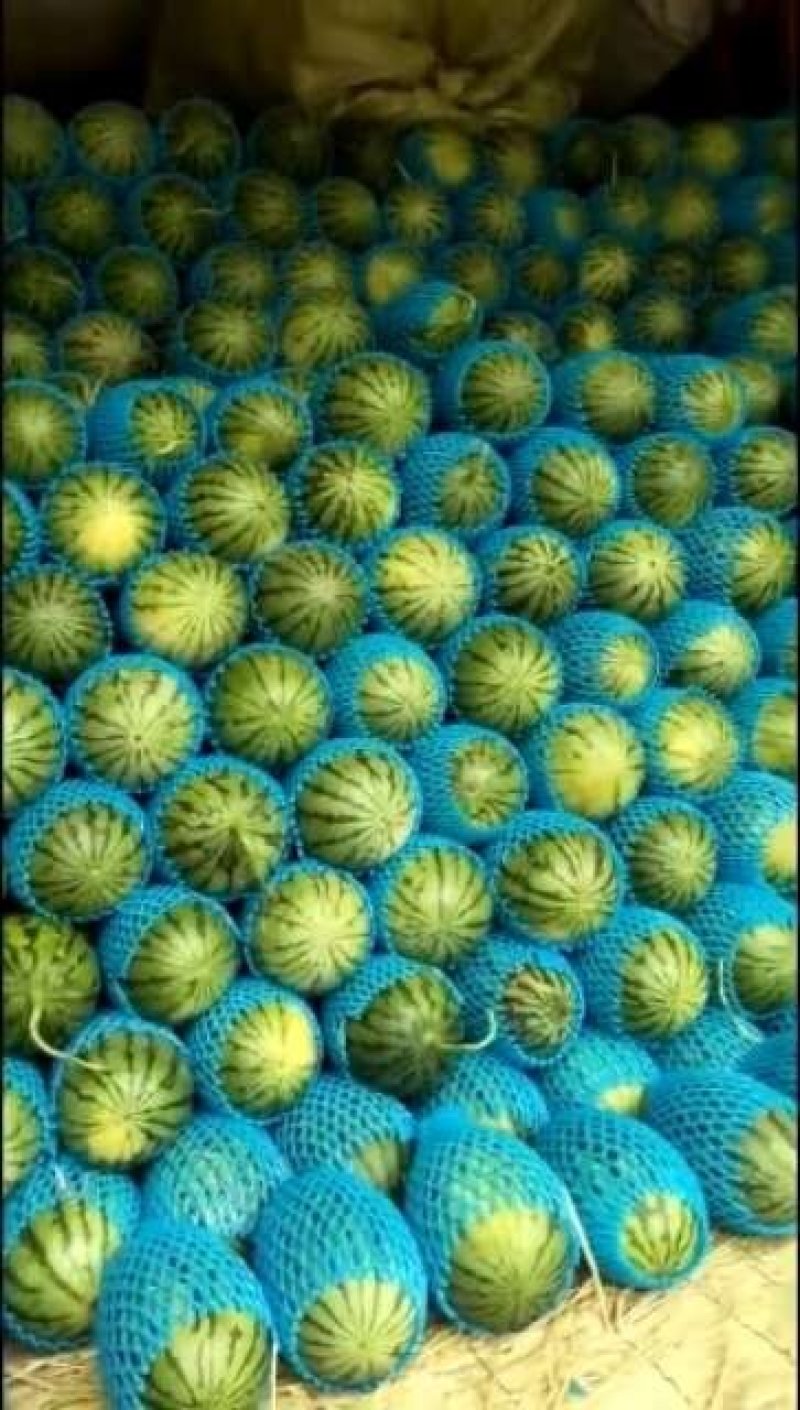 精品2K西瓜，包装小工齐全，产地直发，保熟保甜