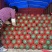 精品2K西瓜，包装小工齐全，产地直发，保熟保甜