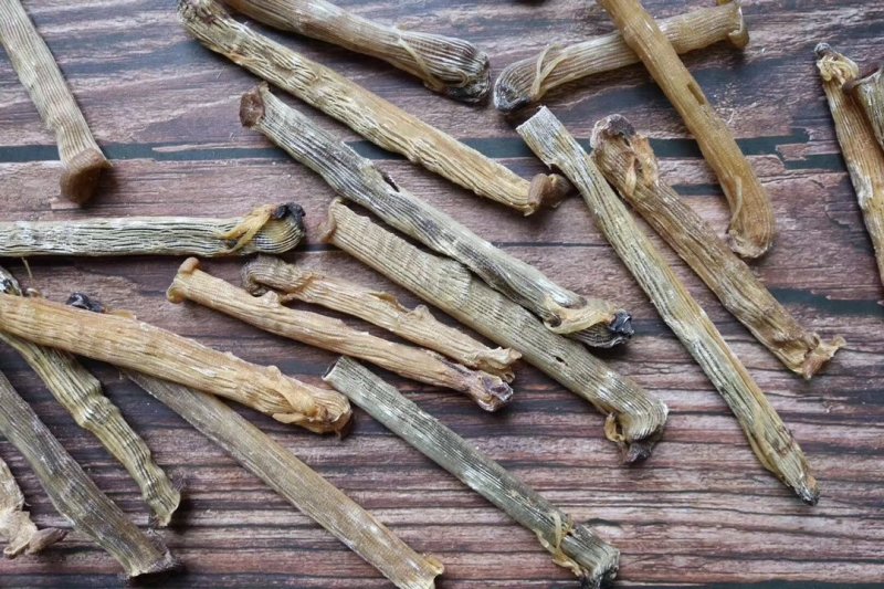 A厂印尼原色沙虫足干，新货回来。足干货，原色没有沙