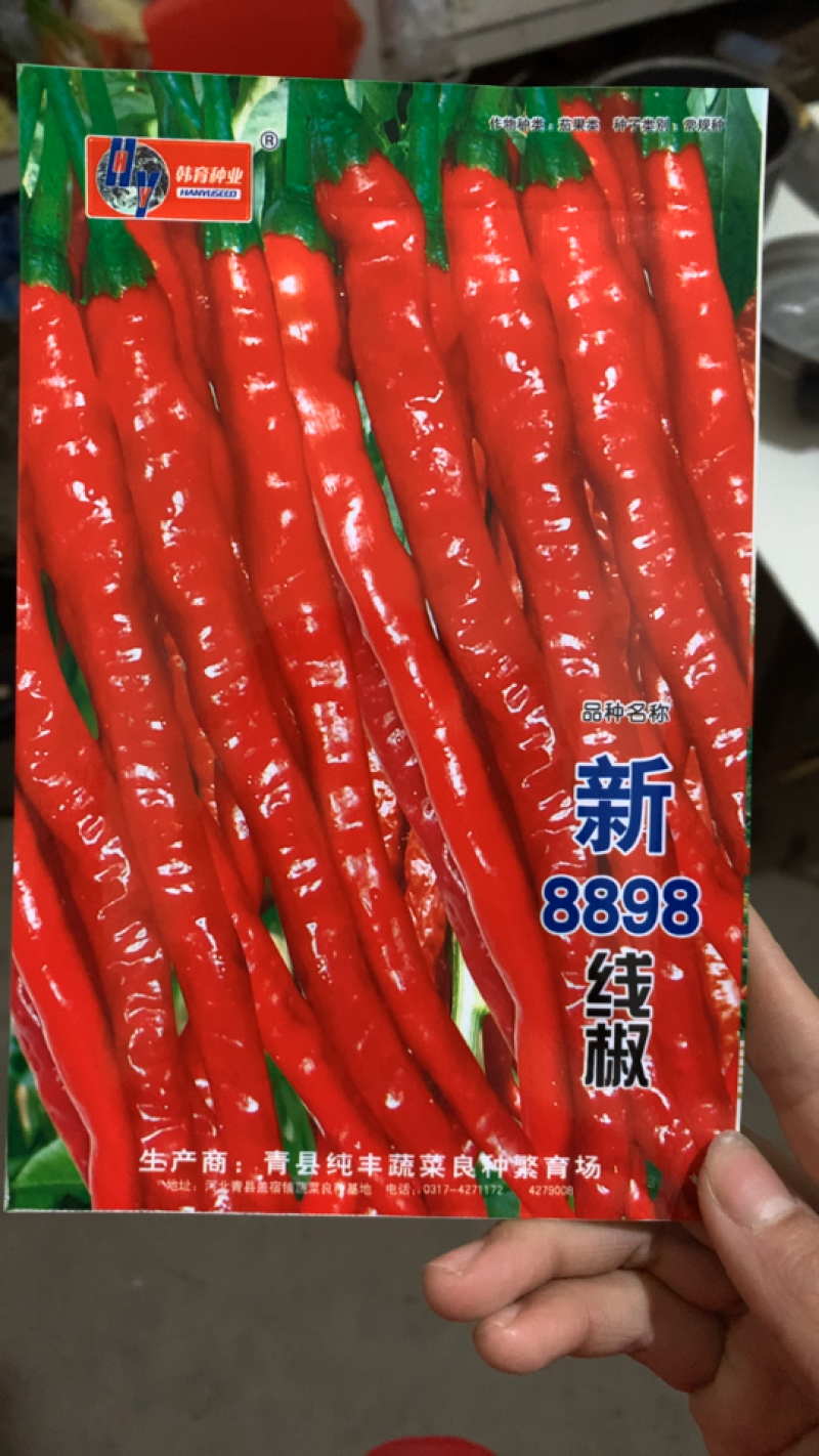 【随机送】线椒种子超辣高产线椒王四季播种8898线椒