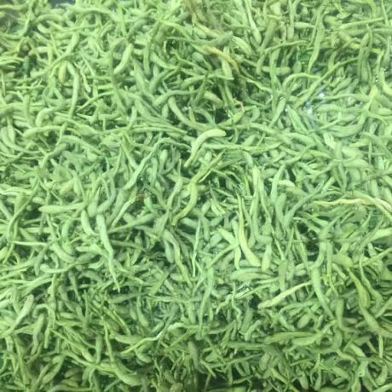 金银花树苗树型爬藤药用红金银花卉盆栽地栽四季金银花苗