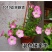 矮牵牛花种子阳台庭院盆栽垂吊混色牵牛花种籽春夏秋四季播种