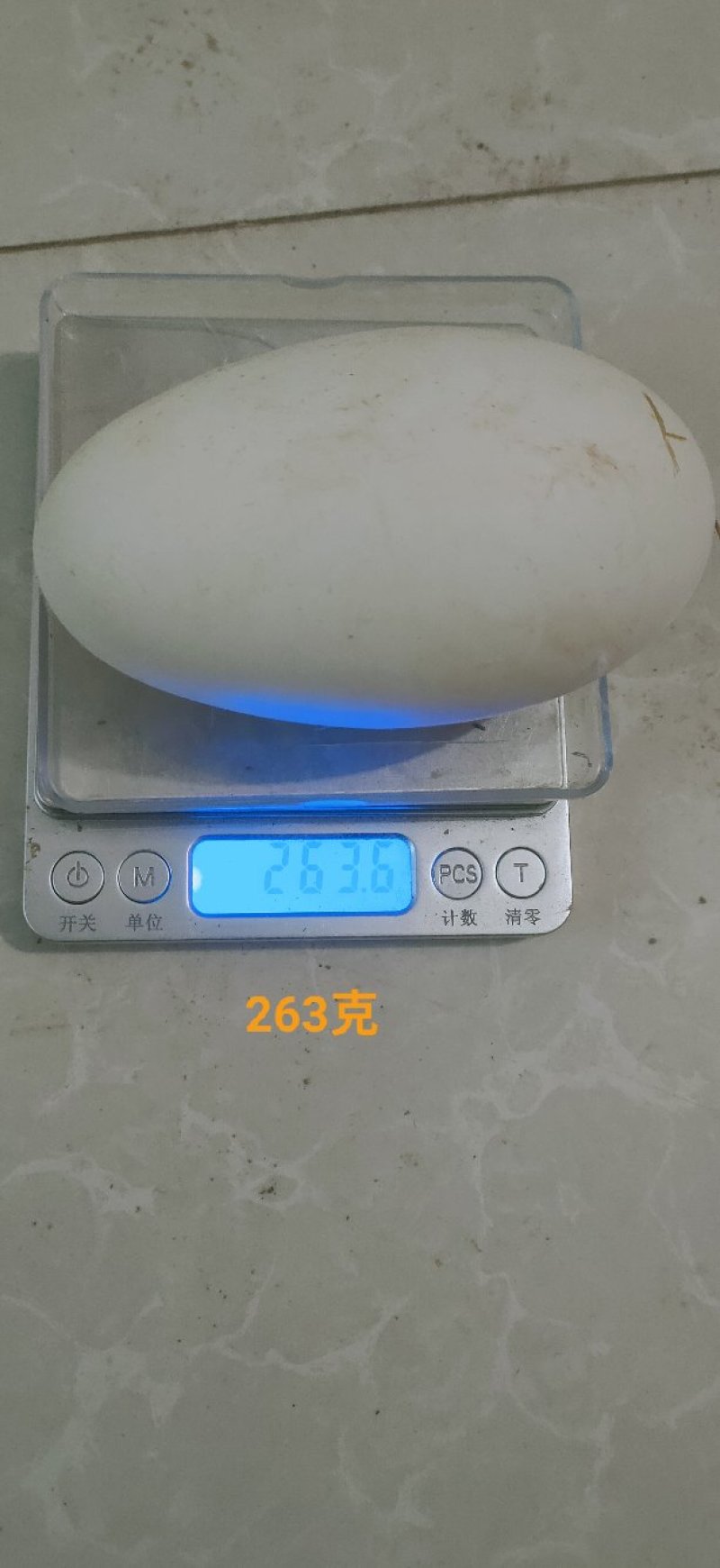 小鹅蛋，双黄蛋，（纯新鲜商品蛋）